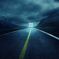 Chasing Midnight - Moog, Erin Renee