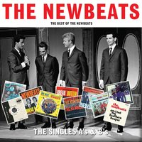 Groovin' (Out on Life) - The Newbeats