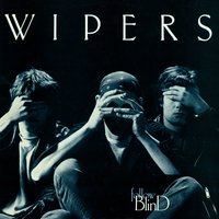 Don't Belong to You - Wipers