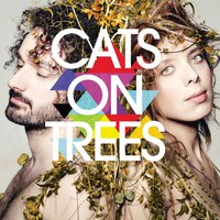 Walking on the Line - Cats On Trees