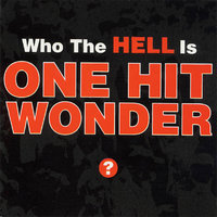 Simple Life - One Hit Wonder