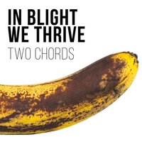 Break Through - 