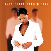 Body - Funky Green Dogs