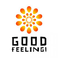 Good Feeling (Tribute to Flo Rida) - Sometimes I Get a Good Feeling