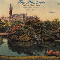 Happy Birthday - The Bluebells