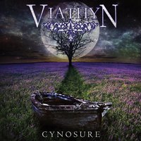 Cynosure -