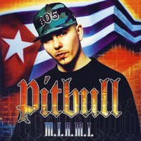 Melting Pot - Pitbull, Trick Daddy