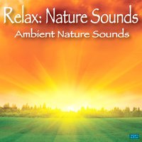Nature Sounds Nature Music No. 3 - Relax: Nature Sounds