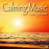 Calming Babbling Brook - Calming Sounds