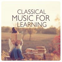 Calm Music For Studying