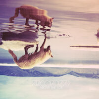 Colorimetic - Recorders