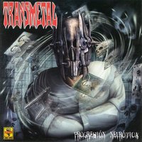 Boquea en Diciembre - Transmetal