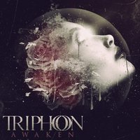 Dark Signals - Triphon