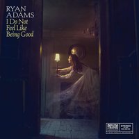 In the Dark - Ryan Adams
