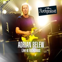 Three of a Perfect Pair - Adrian Belew
