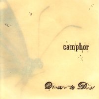 Deconstructed - Camphor