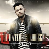 Hi Haters/Golddigger Mix - Seyo