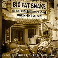 One Night Of Sin - Big Fat Snake