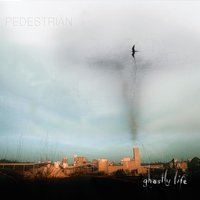 Overwhelmed - Pedestrian