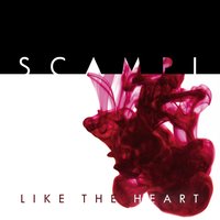 Lay Down - Scampi