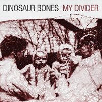 My Divider - Dinosaur Bones