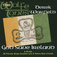 Finnegans Wake - Derek Warfield