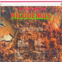 Star Fi Di Show - Nicodemus