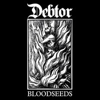 Witness - Debtor