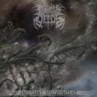 Abstract Vibrations Compressed - Iniquitous Deeds