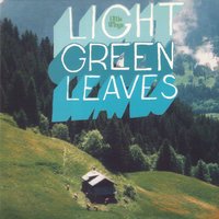 Light Green Leaves - Little Wings