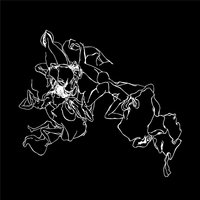 Dream Machine - Savants