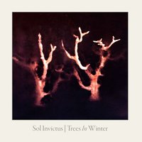 Trees in Winter - Sol Invictus