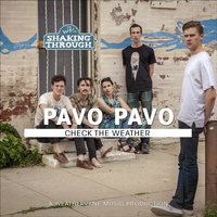 Check the Weather (Shaking Through Session) - Pavo Pavo