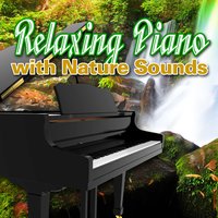 Relaxation Suite with Forest Birds for Peace of Mind and Total Relaxation - Best Relaxation Music