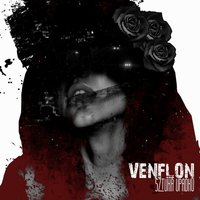 Wirus - Venflon