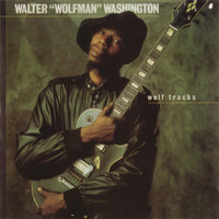 Can I Change My Mind? - Walter "Wolfman" Washington