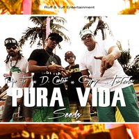 Pura Vida Seeds - Toledo