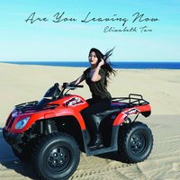 Are You Leaving Now - Elizabeth Tan