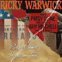 Celebrating Sinking - Ricky Warwick