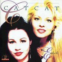 Piirtelet Mun Sydämeen - Catcat