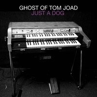 Ghost of Tom Joad