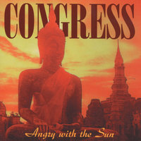 The other cheek - Congress