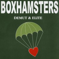 Beende deine Jugend - Boxhamsters