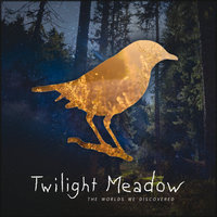 Winter Froze The Flower - Twilight Meadow