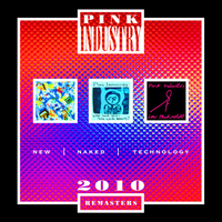What I Wouldn't Give - Pink Industry