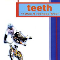 BMX - Teeth