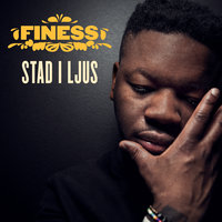 Stad i ljus - Finess