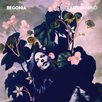 Out of My Head - Begonia