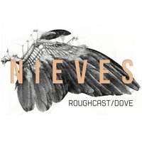Roughcast - Nieves