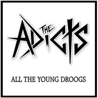 All The Young Droogs - The Adicts